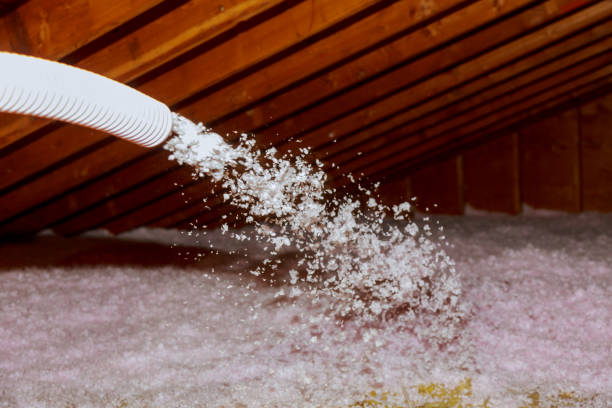Best Insulation for Specific Applications in Perezville, TX