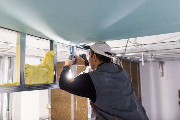 Best Insulation Maintenance and Repair in Perezville, TX