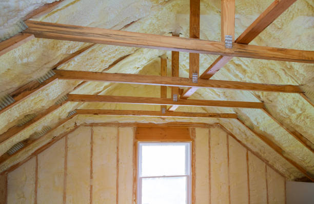 Best Energy Efficiency Solutions in Perezville, TX