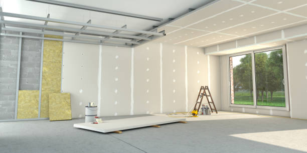 Best Types of Insulation in Perezville, TX