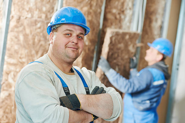 Best Insulation Installation Services in Perezville, TX